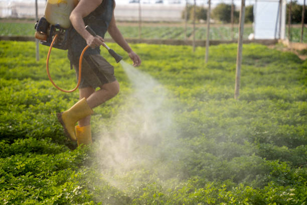 Best Pest Removal Services  in Moenkopi, AZ