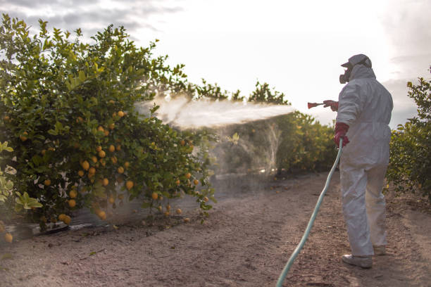 Best Pest Control for Restaurants  in Moenkopi, AZ