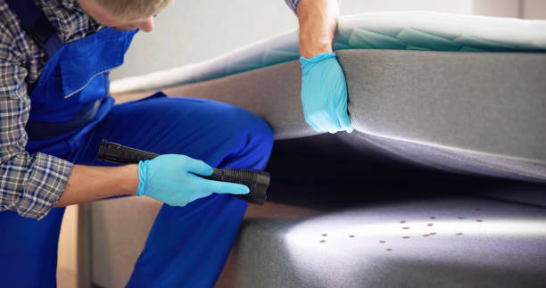 Best Local Pest Control Services  in Moenkopi, AZ